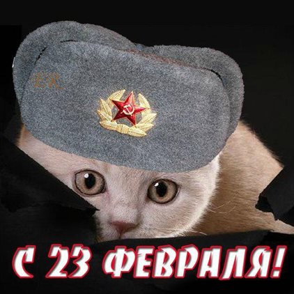Пусть каждый день дарит счастье