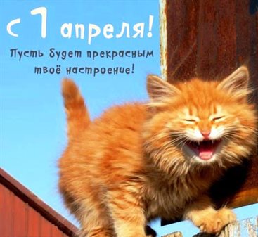Лучшие пожелания