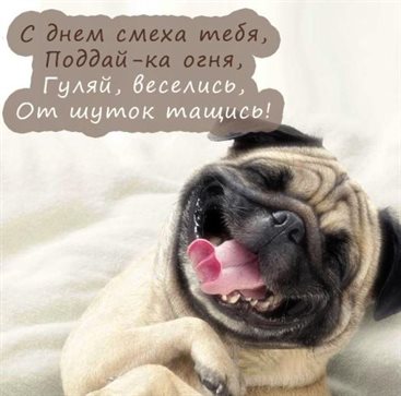 Немного тепла и заботы