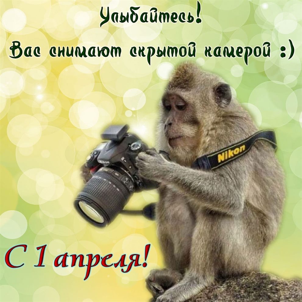 Подарок в виде открытки