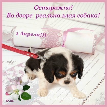 Пусть улыбка не сходит с лица
