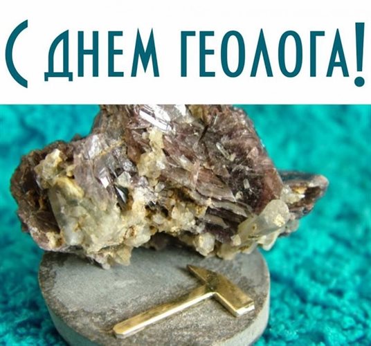 Немного тепла и заботы