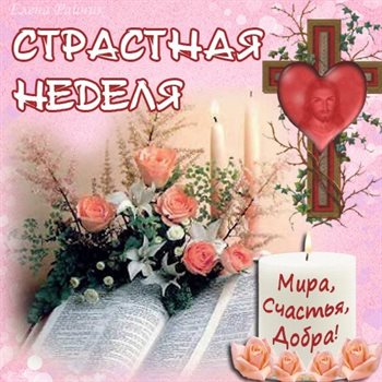 Немного тепла и заботы