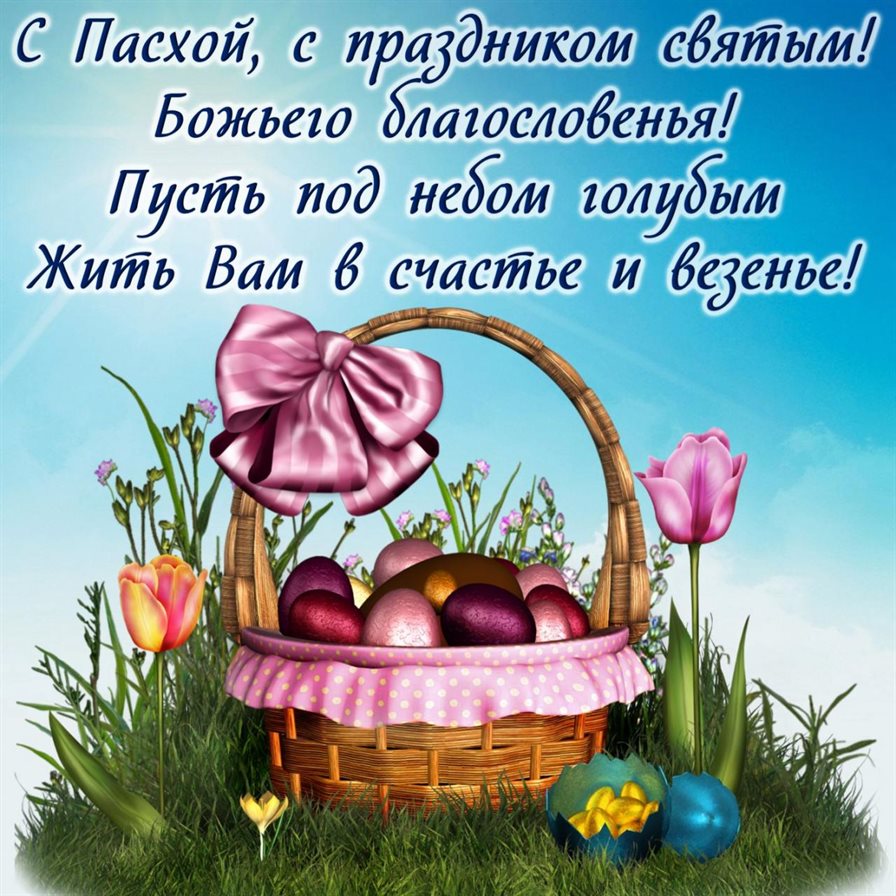 Немного тепла и заботы