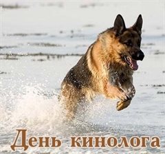 Луч света в ваш день