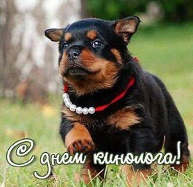 Хорошего настроения сегодня