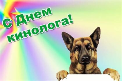 Немного волшебства в ваш день