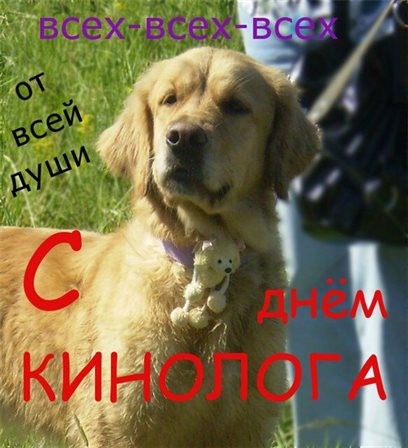 Светлые пожелания