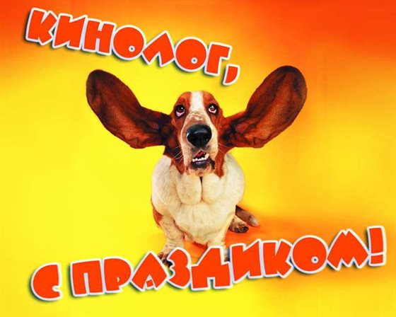 Пусть улыбка не сходит с лица