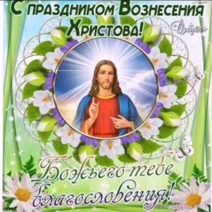 Немного тепла и заботы
