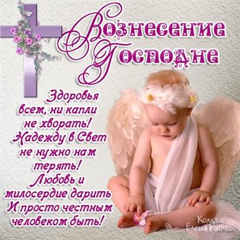 Немного тепла и заботы