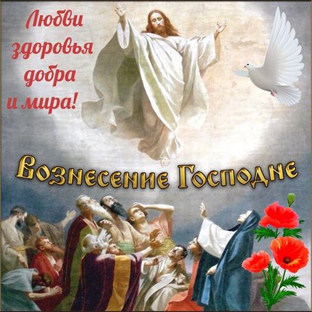 Луч света в ваш день