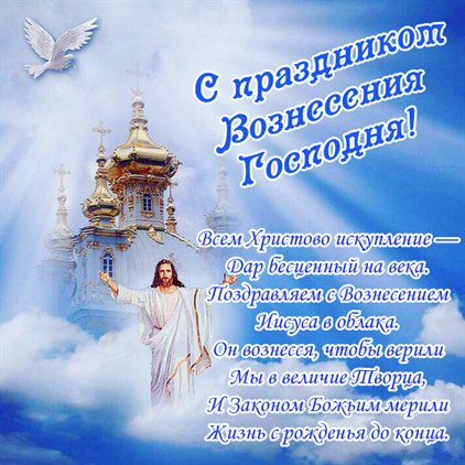 Больше радости в жизни
