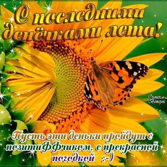 Лучшие пожелания