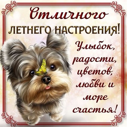 Подарок в виде открытки