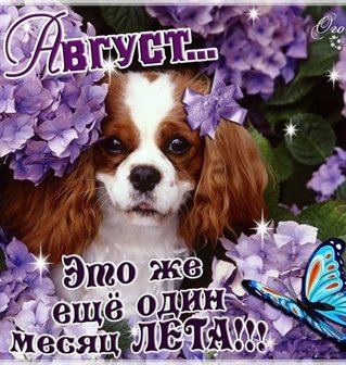 Счастья и удачи