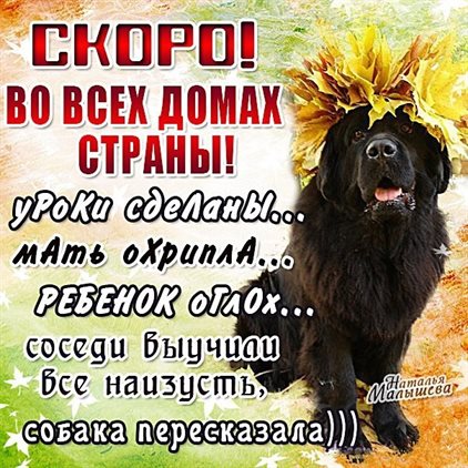 Приятные поздравления
