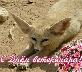 От сердца — Открытки с Днем инкассатора