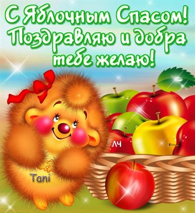 Нежность и внимание