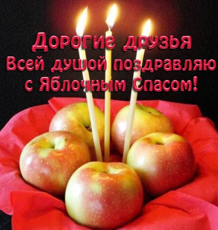 Тепло и счастье в каждом моменте