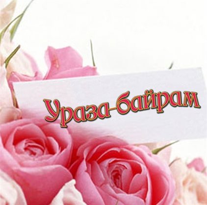Немного тепла и заботы