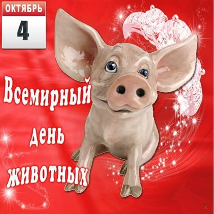 Пусть улыбка не сходит с лица