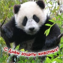 Счастья и удачи