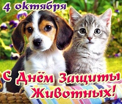 Немного тепла и заботы
