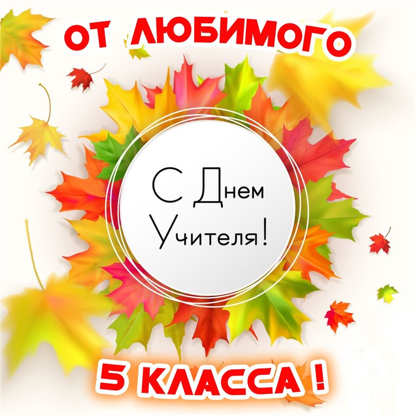 Немного тепла и заботы