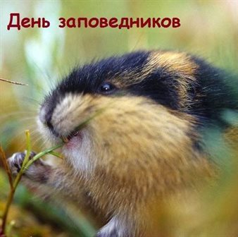 Чудесные поздравления для Открытки с днем заповедников