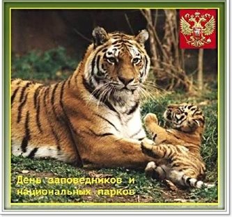 Милая открытка для вас