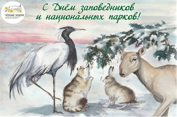 Немного тепла и заботы