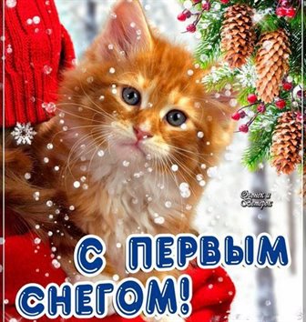 Особенная открытка для С первым снегом