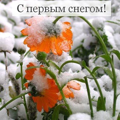 Нежные поздравления для С первым снегом