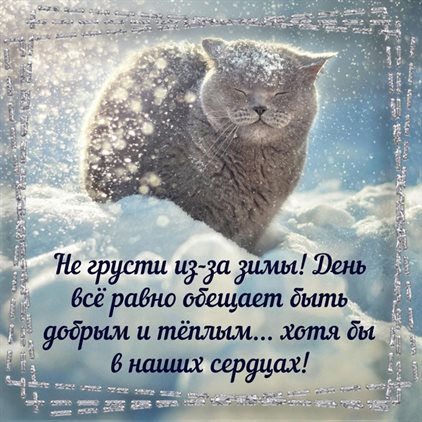 Подарок в виде открытки