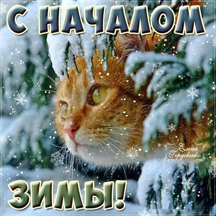 С любовью и уважением