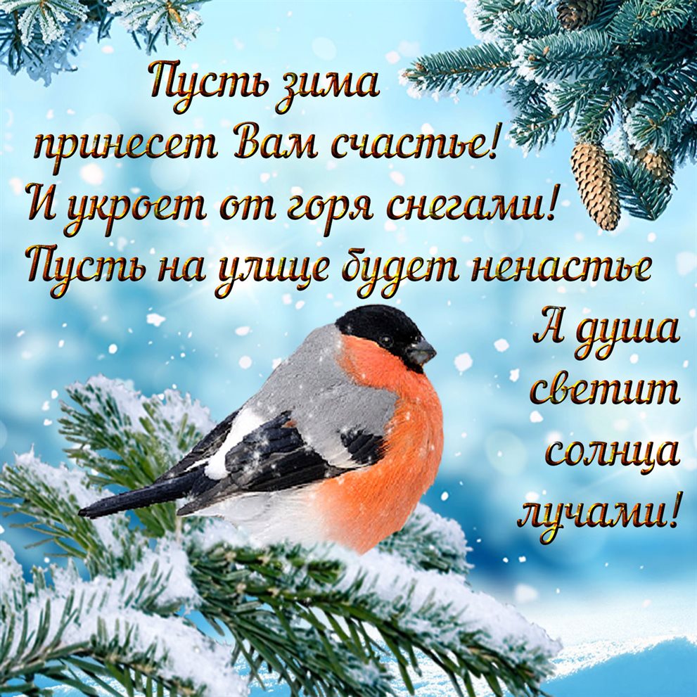 Искренние пожелания