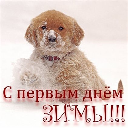 Пусть мечты сбываются