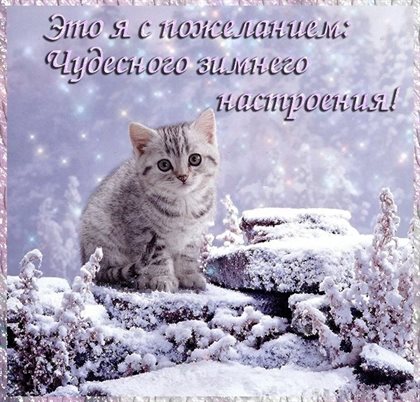 Пусть этот день принесёт радость