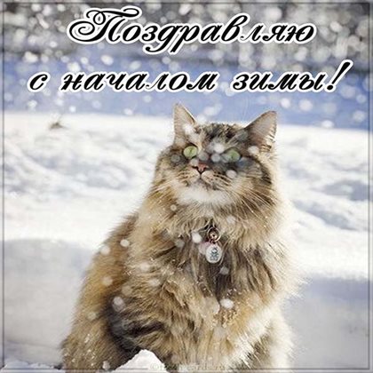 Нежность и внимание