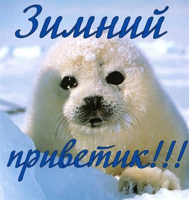 Подарок в виде открытки