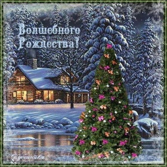 Немного тепла и заботы