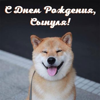 Милая открытка для вас