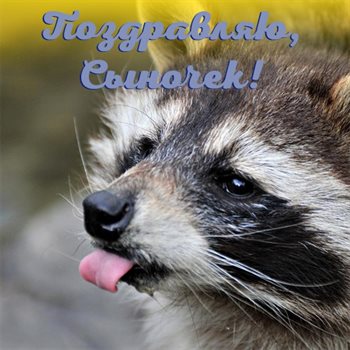 Яркая открытка для вас