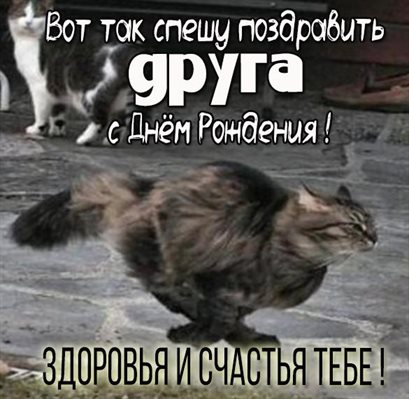 Лучшие пожелания