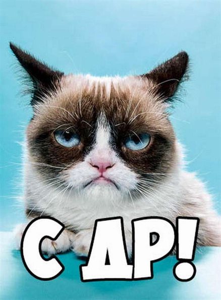 Подарок в виде открытки