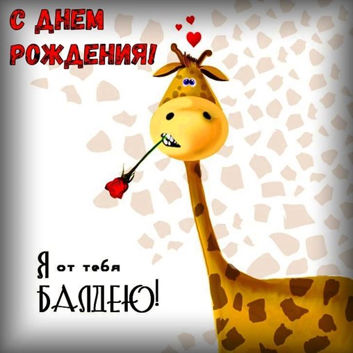 Немного тепла и заботы