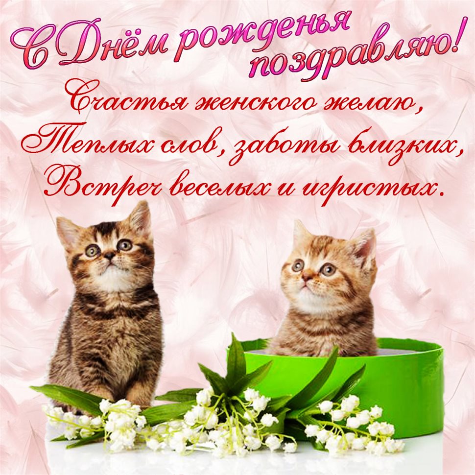 Нежность и внимание