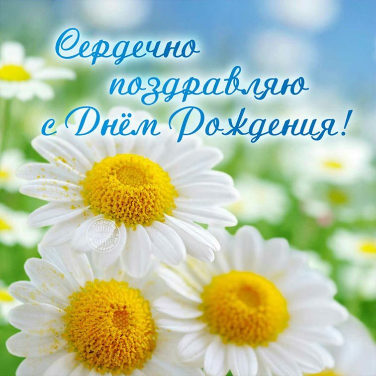 Тепло и счастье в каждом моменте