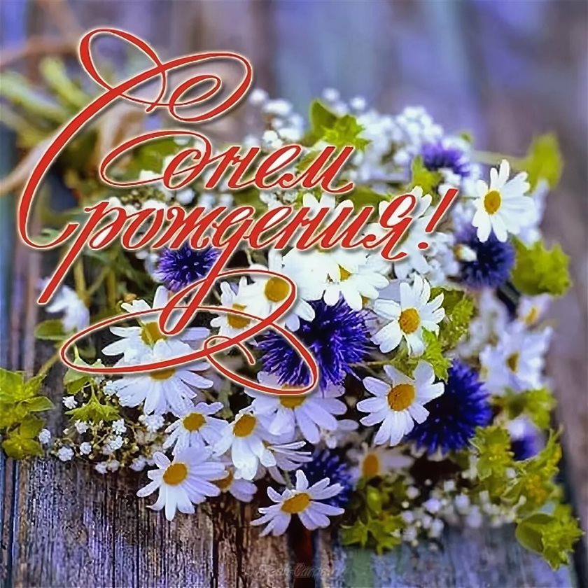 Теплые поздравления